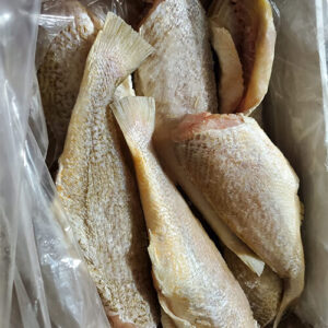 Box of croaker fish : 25lbs