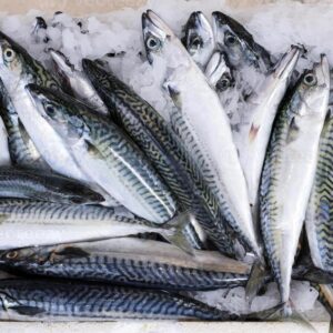 Box of mackerel fish : 45lbs